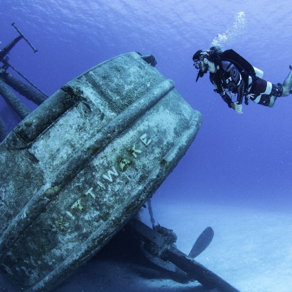 Life on the reef in Grand Cayman 4