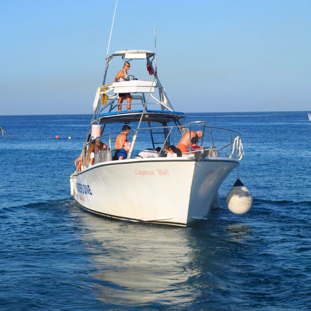 Life at Don Foster's Dive Cayman 8