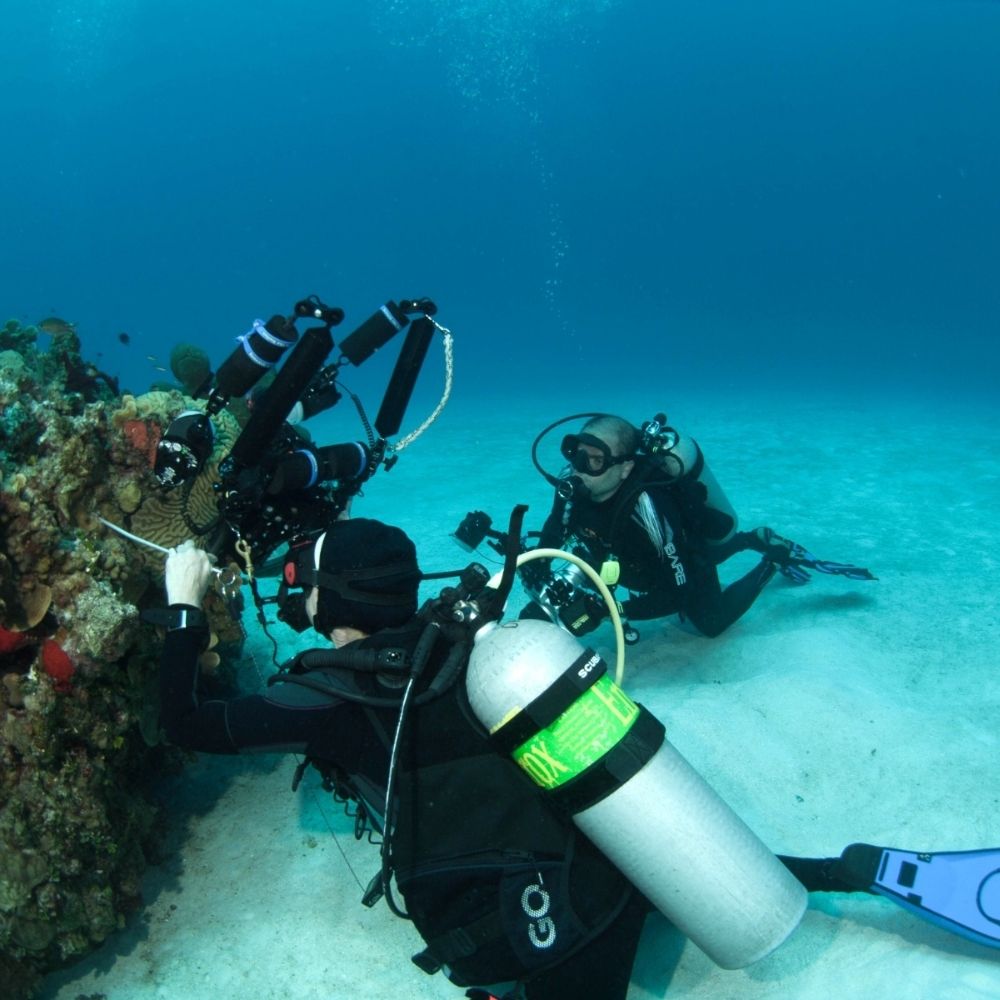 Underwater photography in Grand Cayman 4