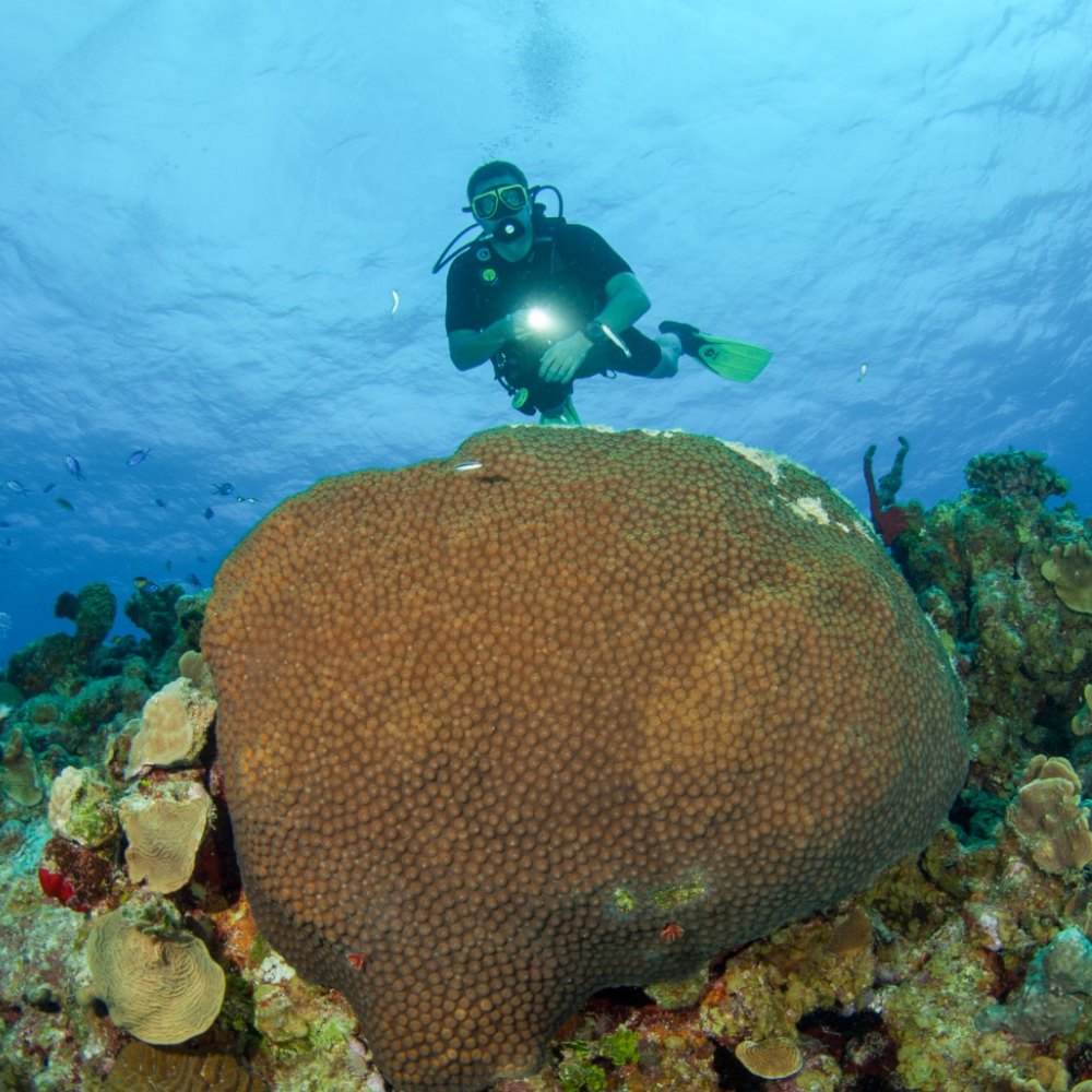 Adventure Diving 1