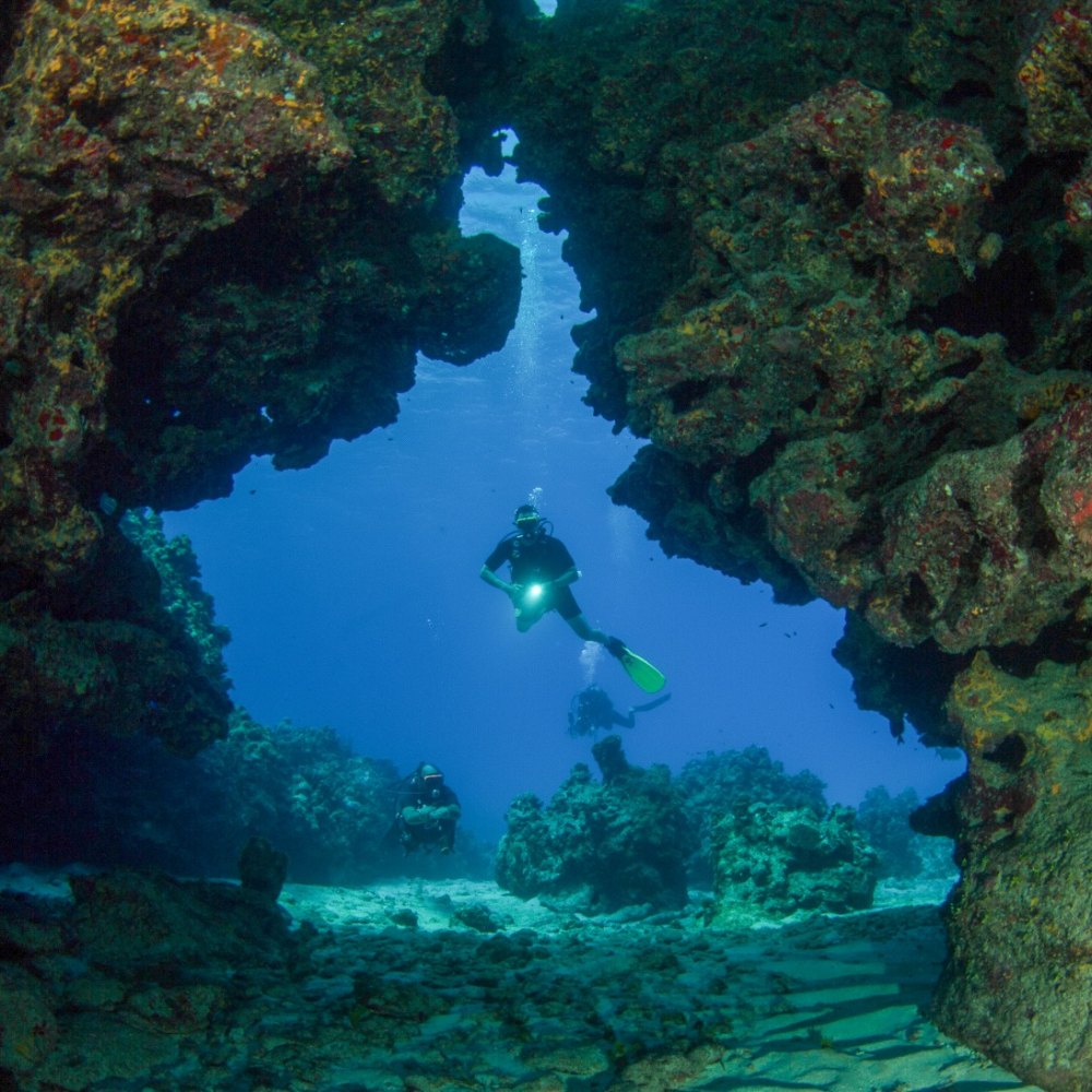 Shore Diving 3