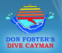 Don Foster's Dive